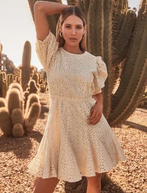 Dixie Godet Broderie Mini Dress