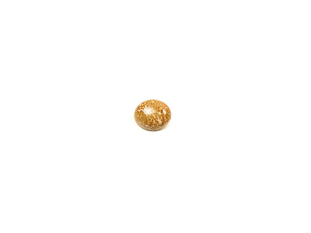 Light Brown Oval Marble Look Acrylic Buttons